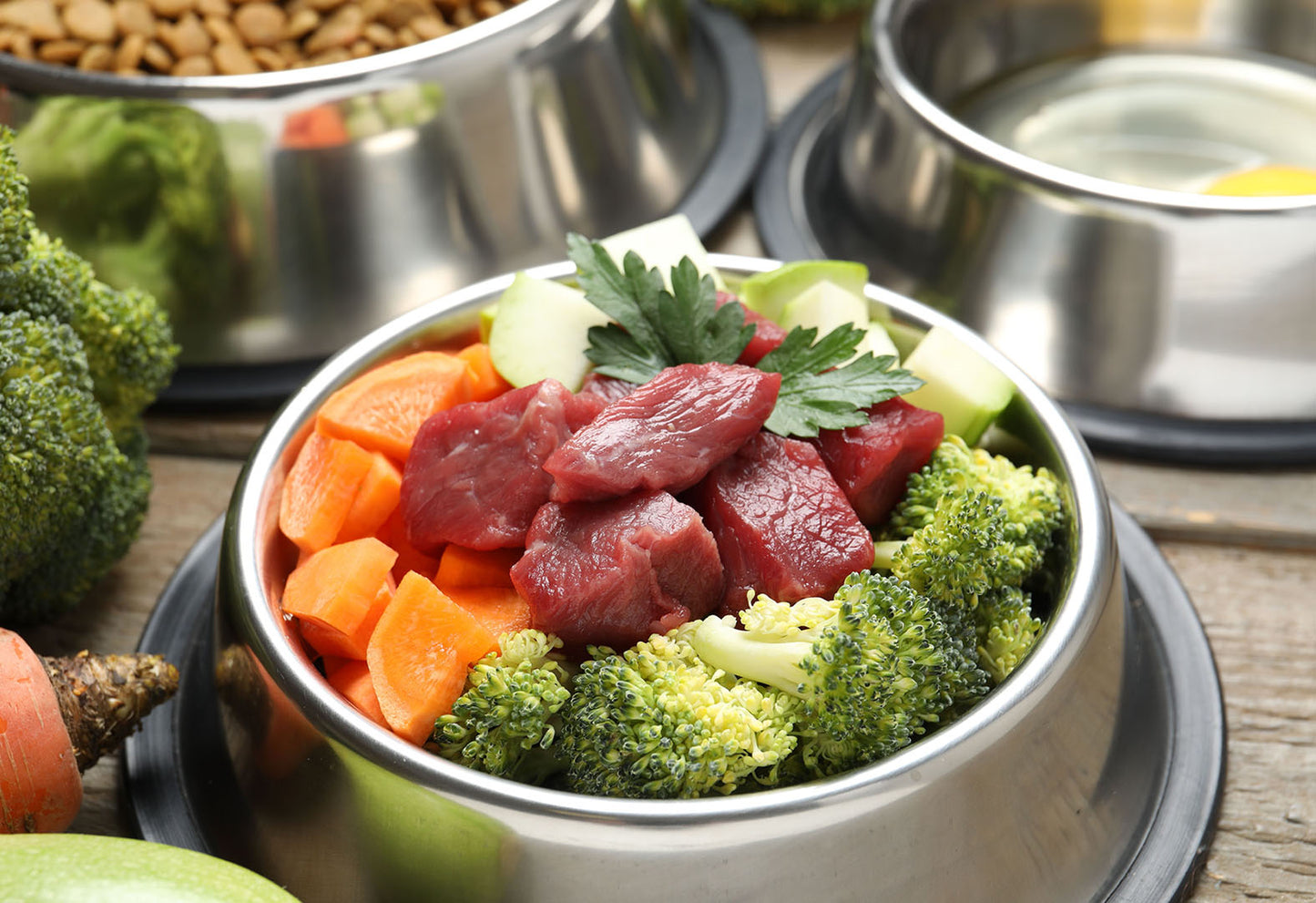 A Guide to Natural Raw Feeding for Dogs