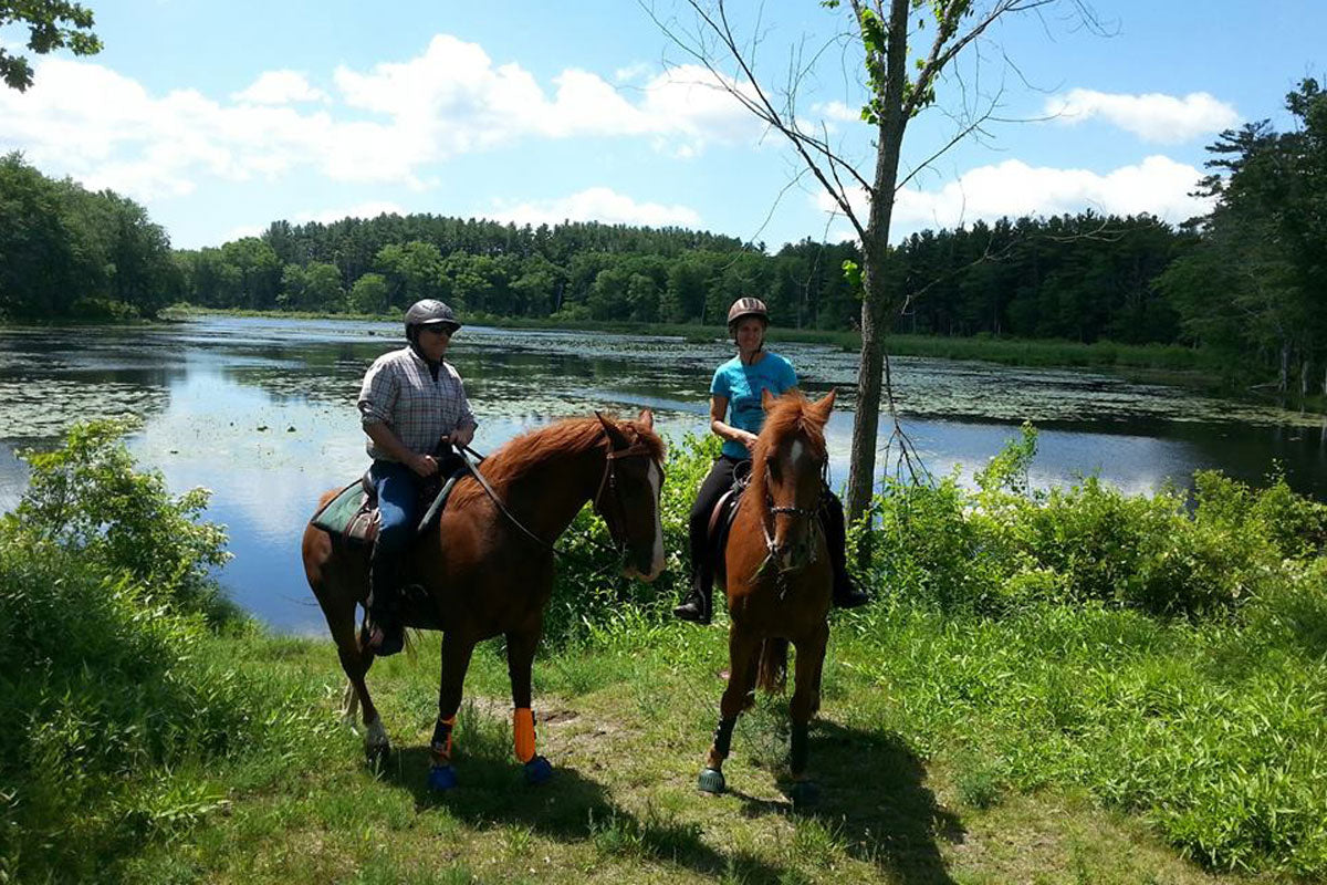 Bay State Trail Riders Association