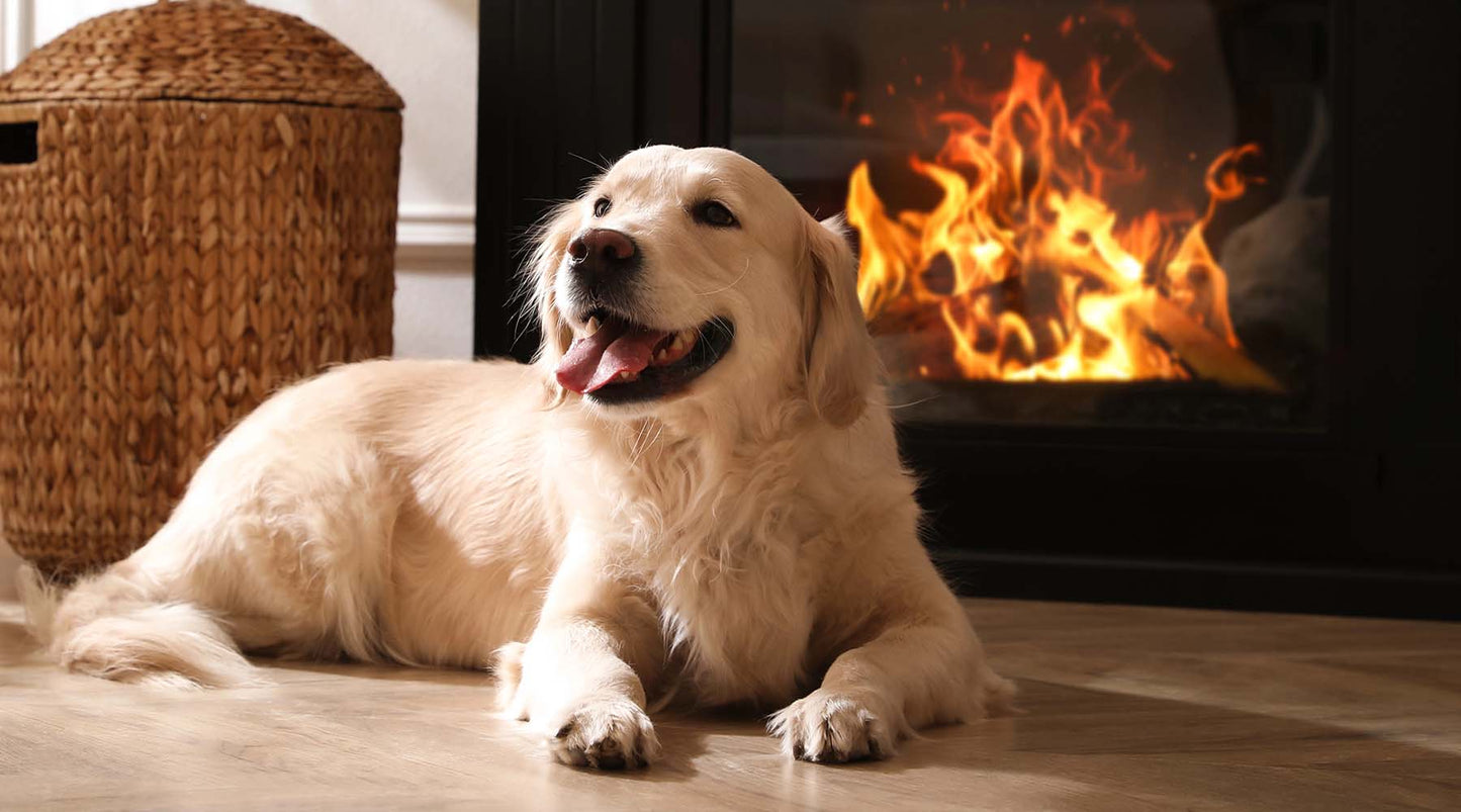 Fire Safety, For You And Your Pets