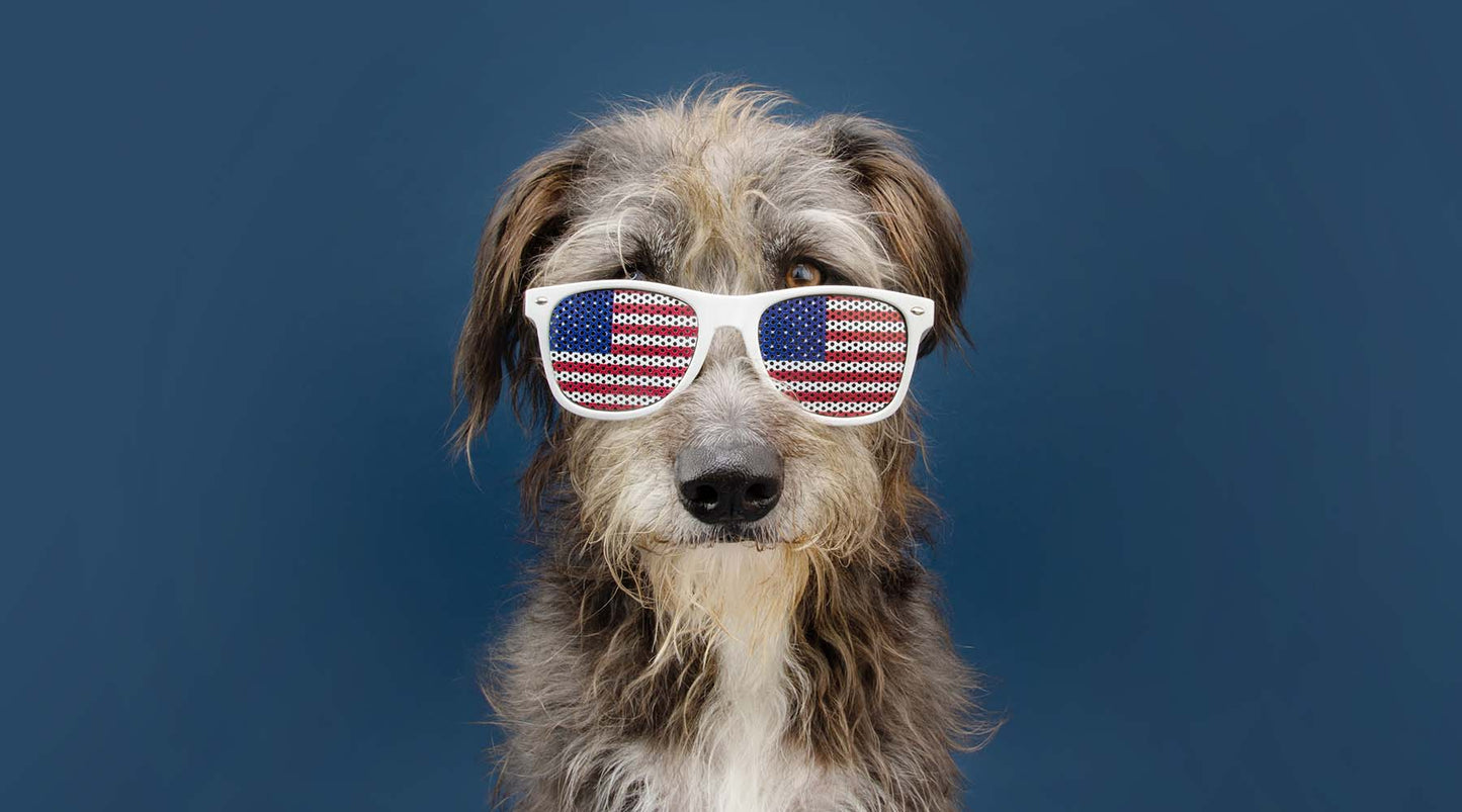 Fourth of July Pet Safety Tips
