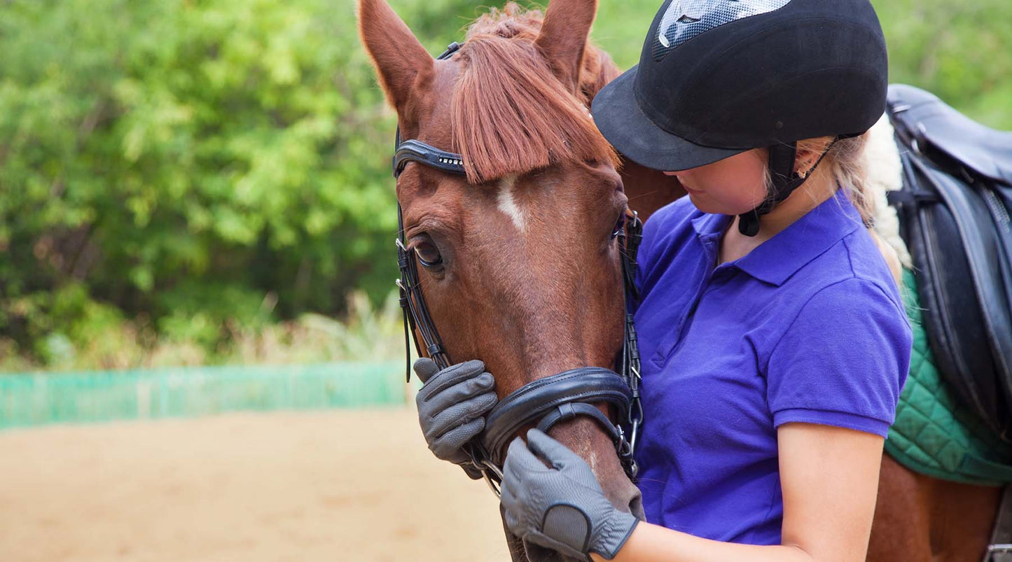 Is your horse stressed out?