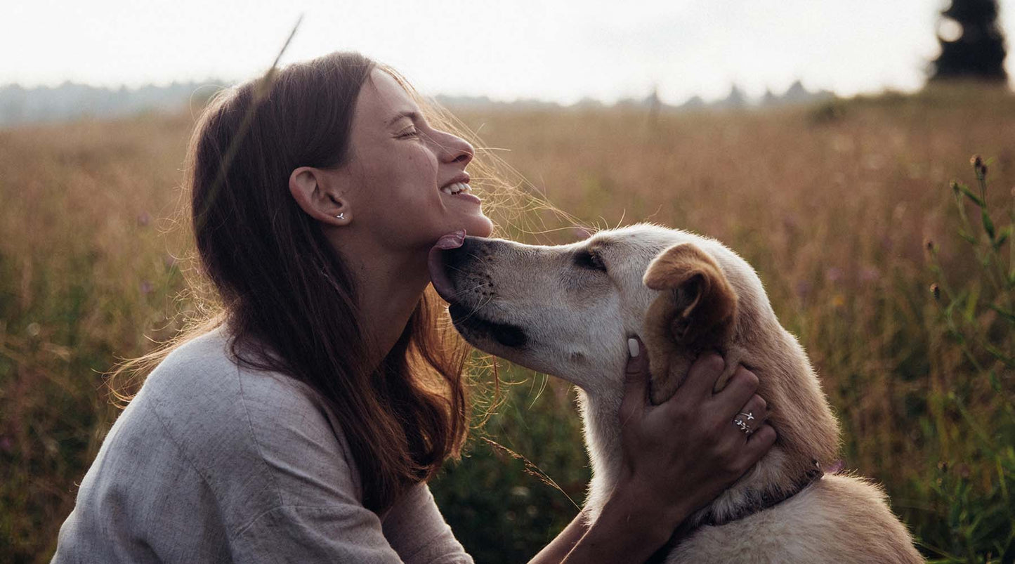 The Pet Effect On Your Mental Health