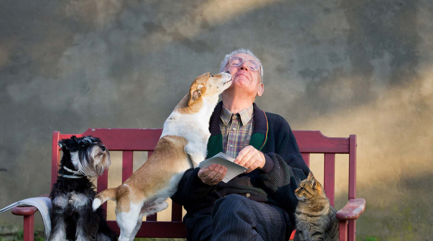 3 Reasons Why A Pet Is The Perfect Gift for Seniors
