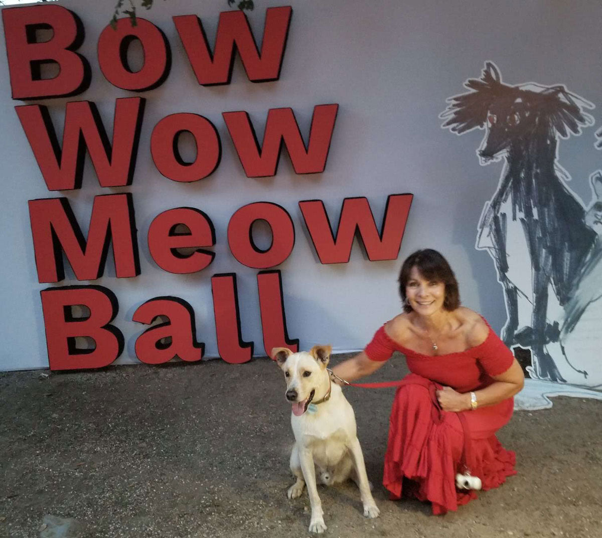All smiles at the Bow Wow Meow Ball!