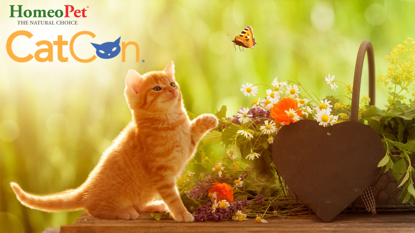 We’re heading to CatCon!