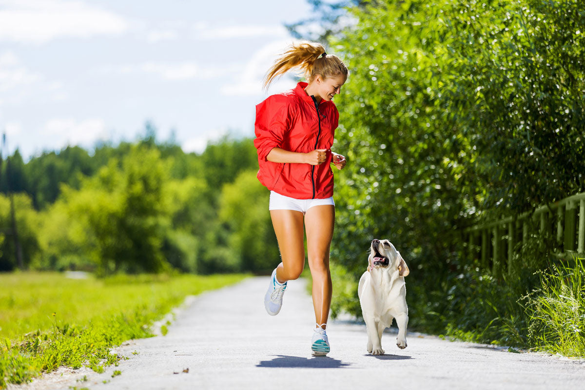 5 reasons why your dog makes the perfect workout partner
