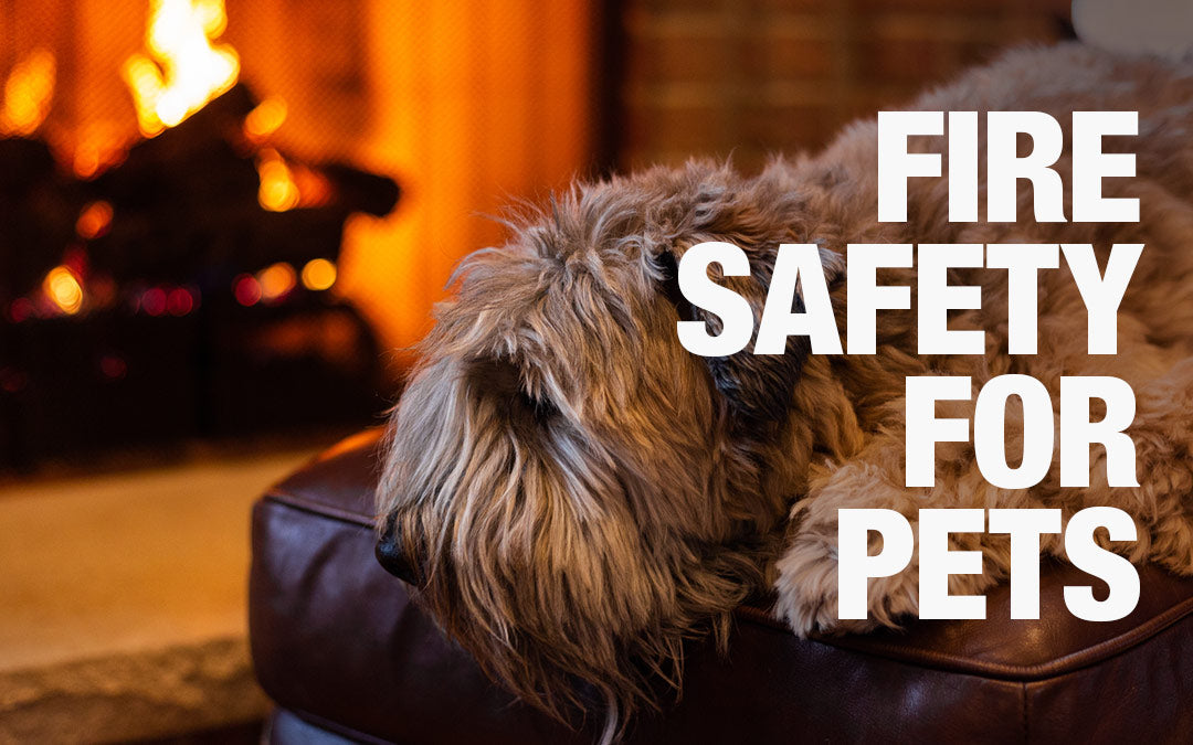Fire Safety, For You And Your Pets