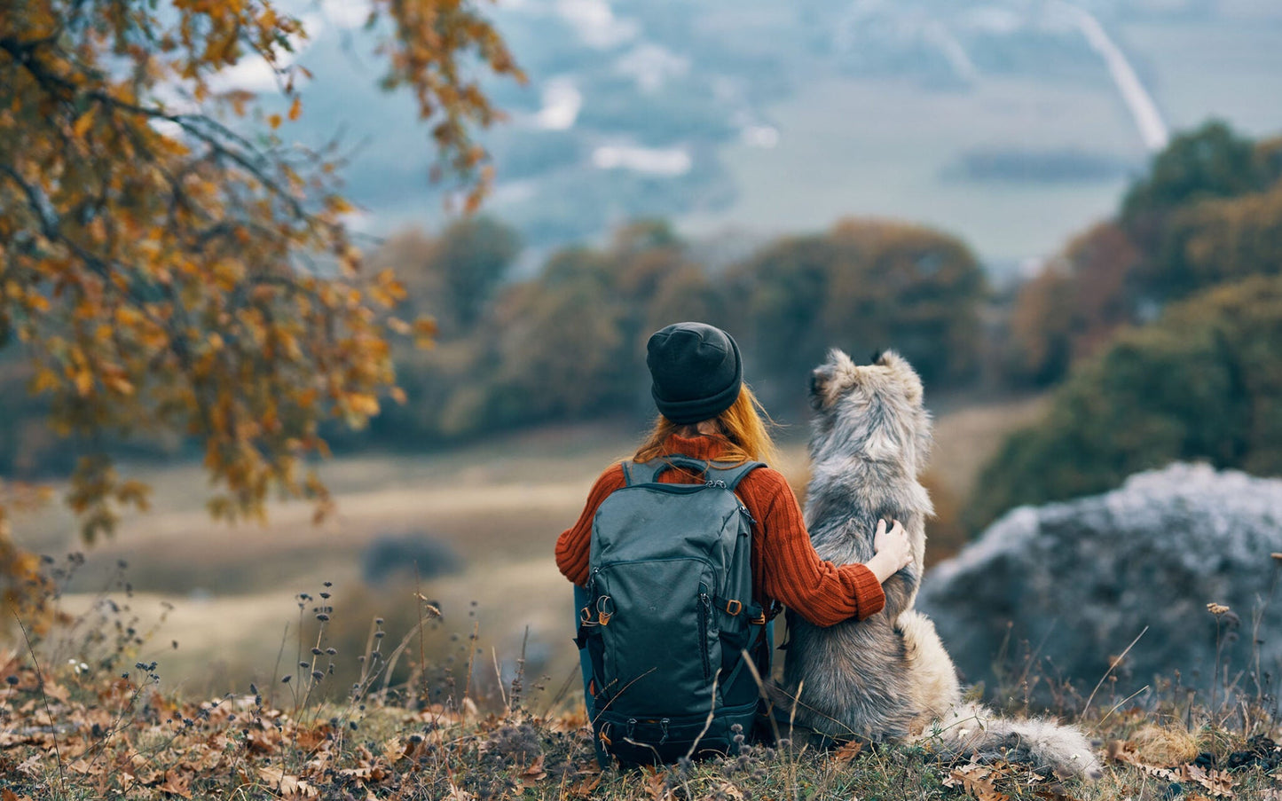 Paws and Boots: The Ultimate Guide to Blissful Hiking Adventures with Your Dog!