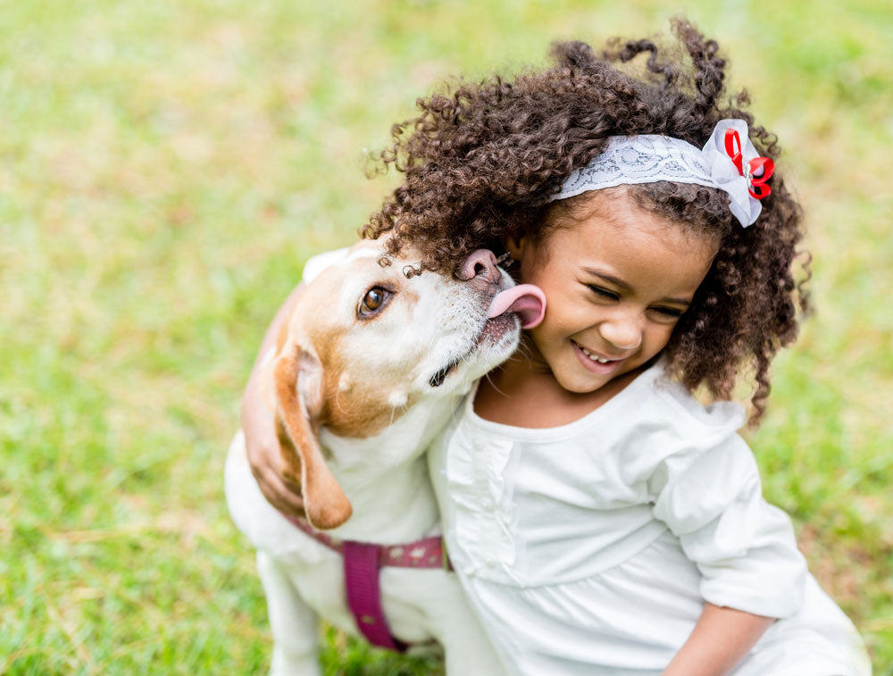 Selecting The Right Animal For Your Family – The Dos And Don’ts Of Choosing The Right Pet For You