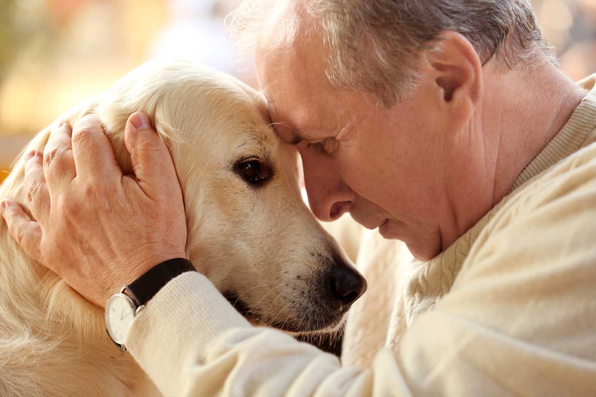 A Quick ‘Dos And Don’ts’ For Choosing The Right Pet For Your Family