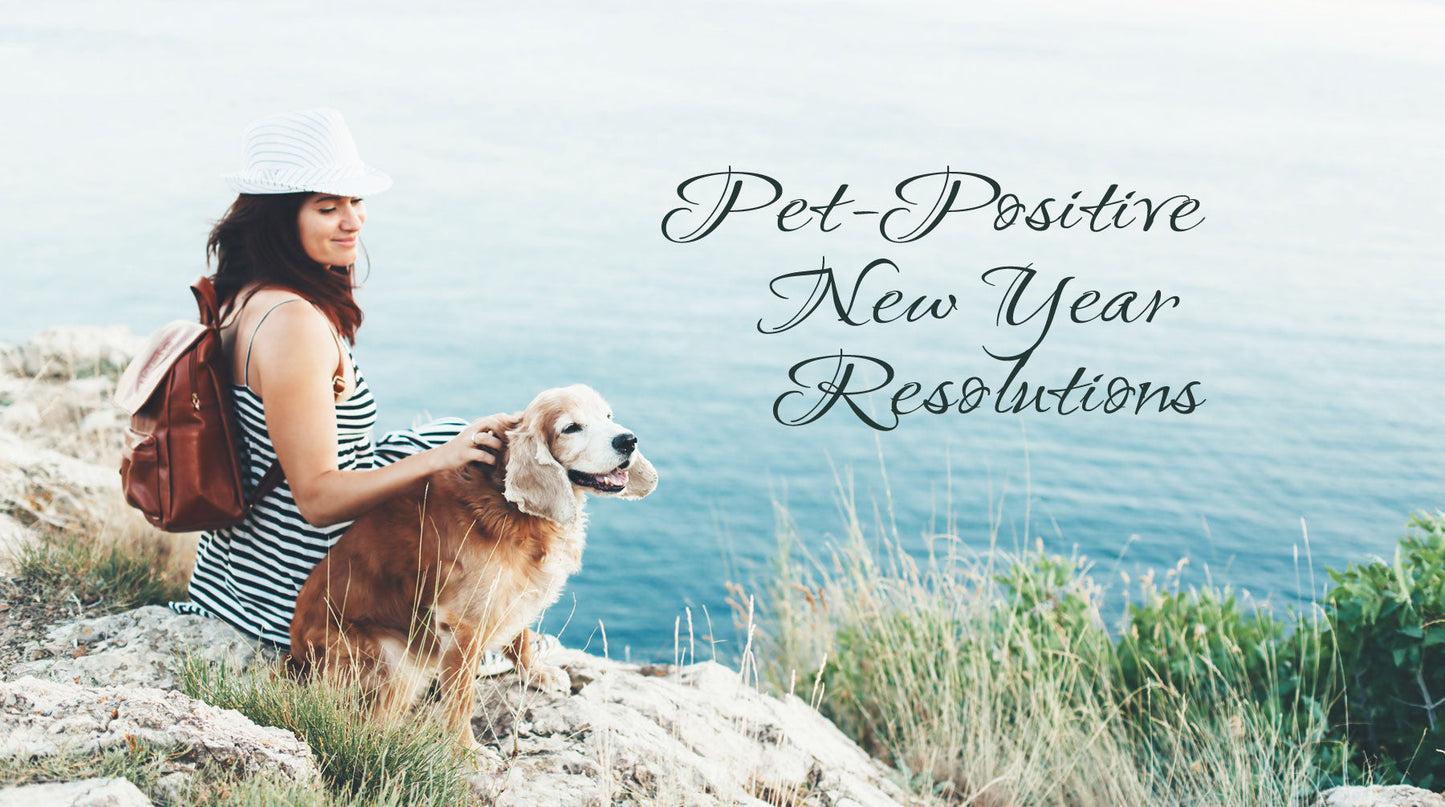 13 Pet-Positive New Year’s Resolutions for 2025