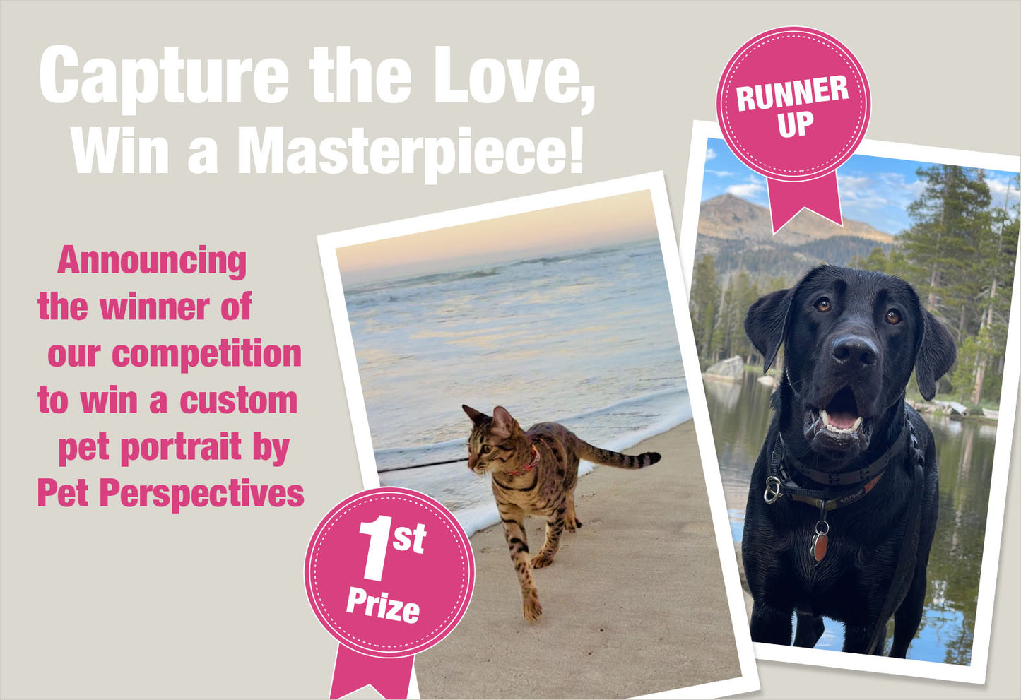 Pet Photo Contest Winner Announced!