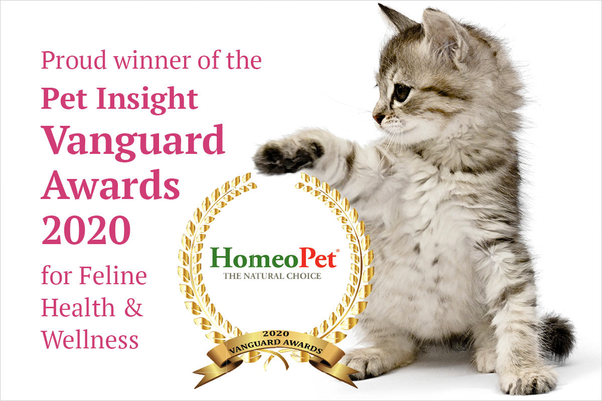 HomeoPet wins the Pet Insight Vanguard Award 2020 for ‘Feline Health & Wellness’