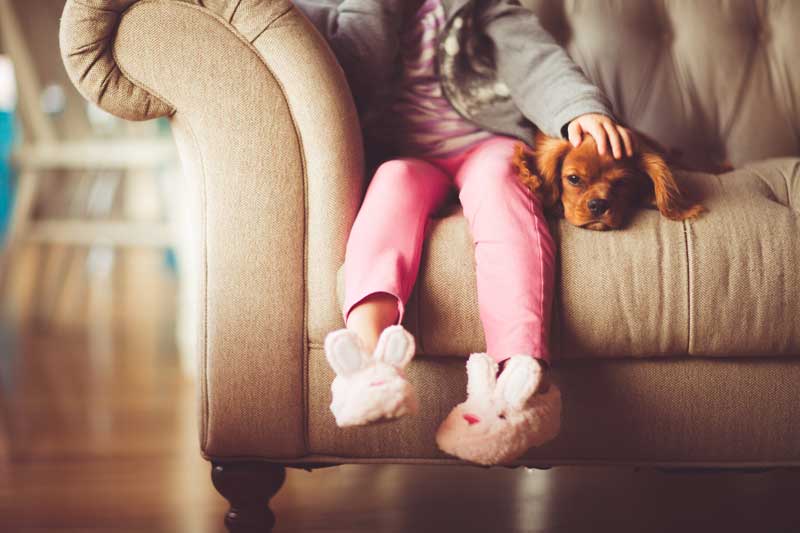 Pet friendly ideas to make your house a home...and a clean one at that!