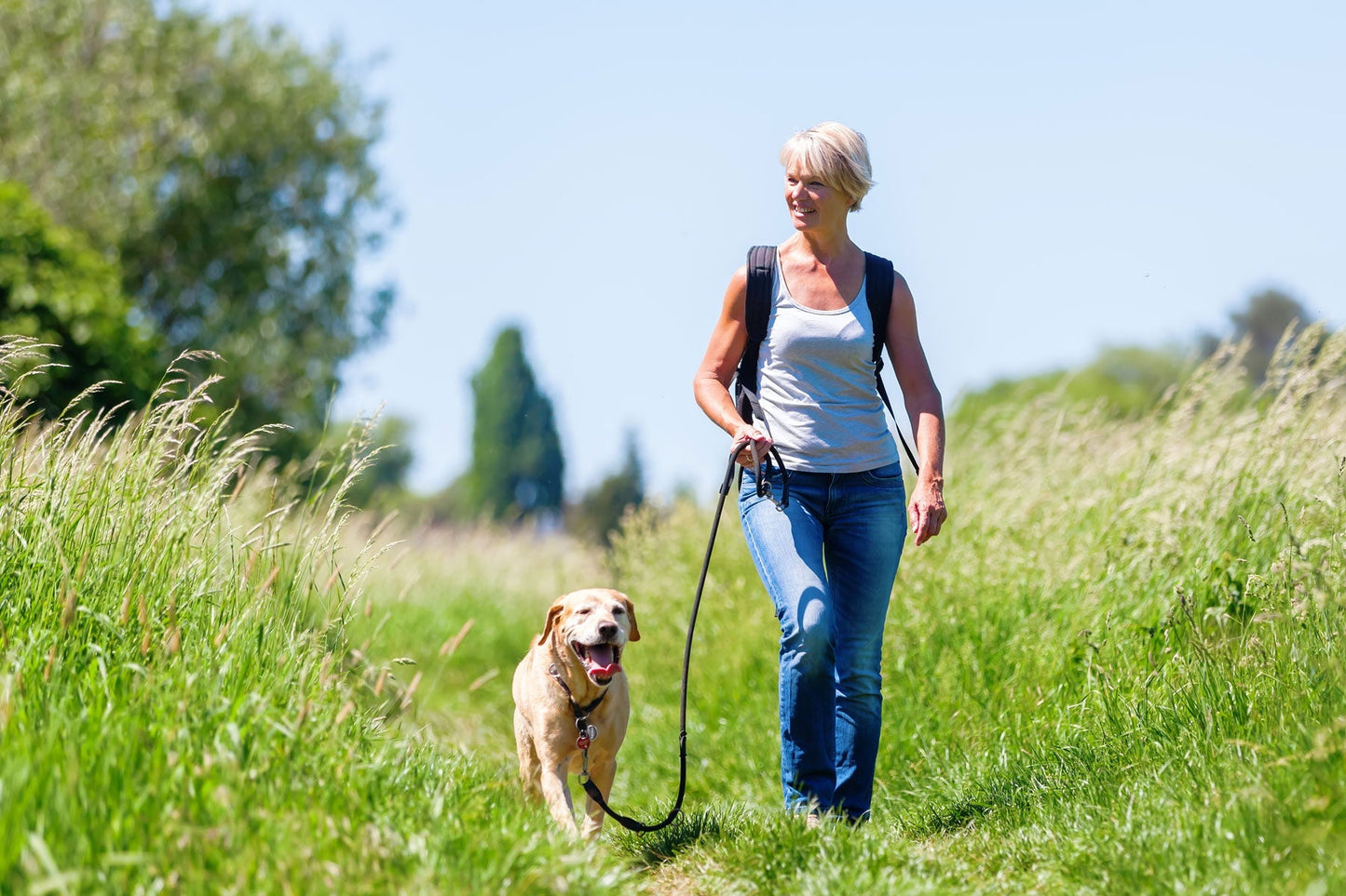 Turn Your Daily Dog Walk Into A Fitness Routine (For You And Fido!)