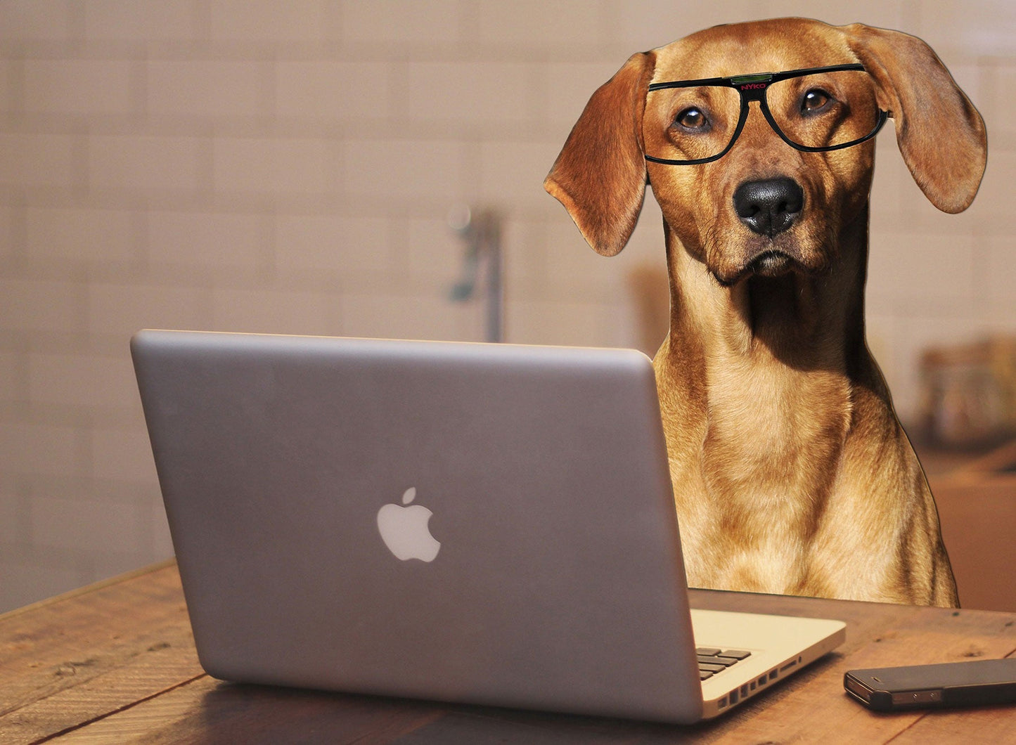 Bringing Fido to Work? Here’s How to Make It Stress-Free