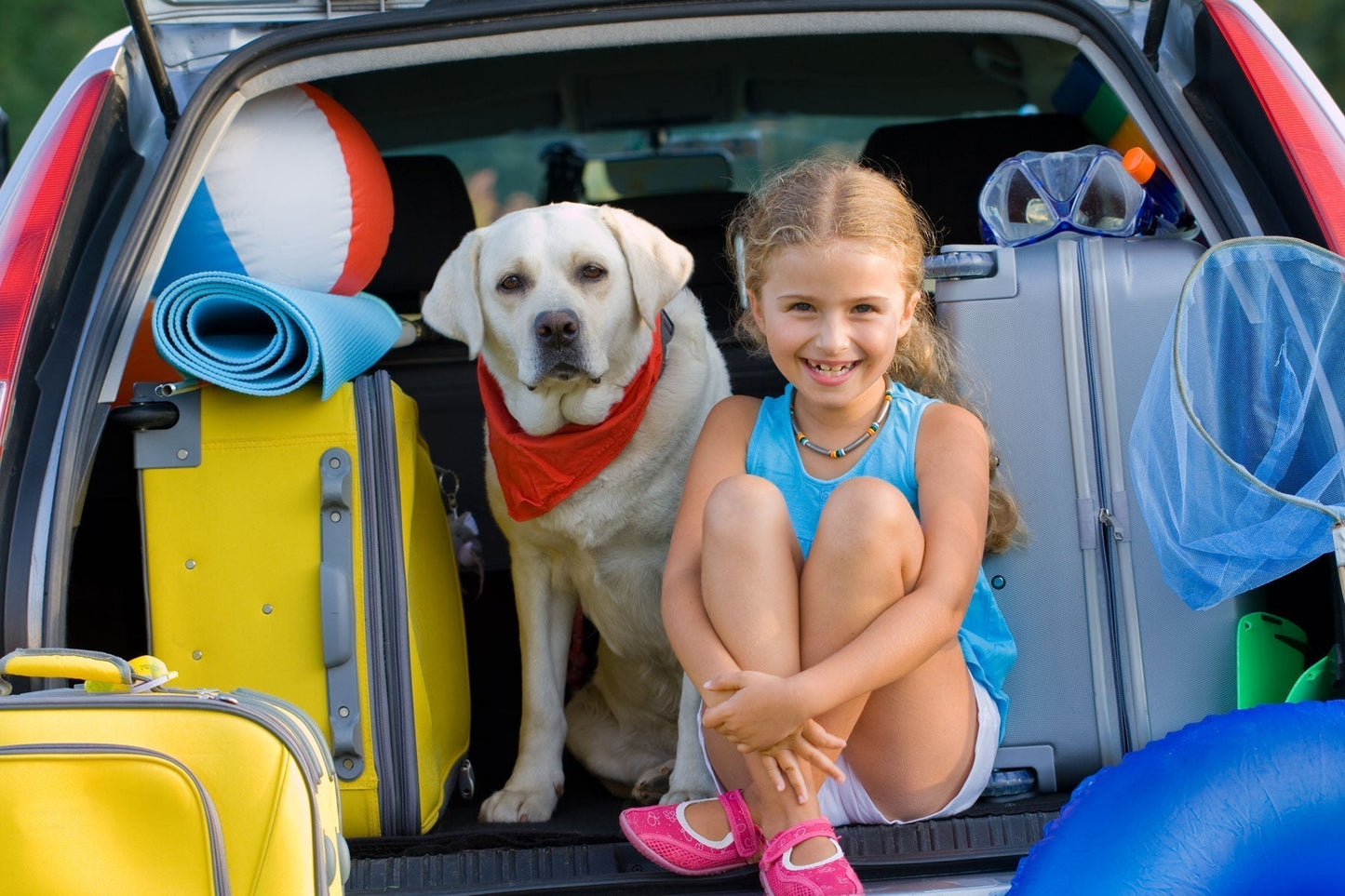 Holiday Travel with your pet – 9 important things you need to do and know for a safe journey