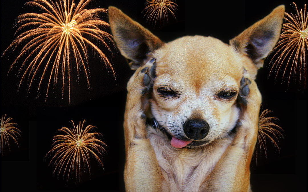 Fourth of July Pet Safety Tips