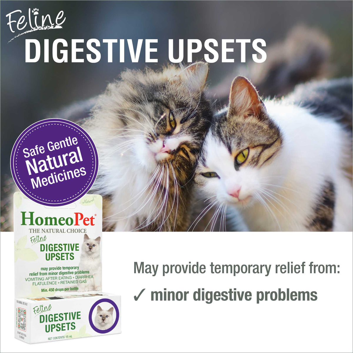 HomeoPet Feline Digestive Upsets | Natural Digestive Support for Cats