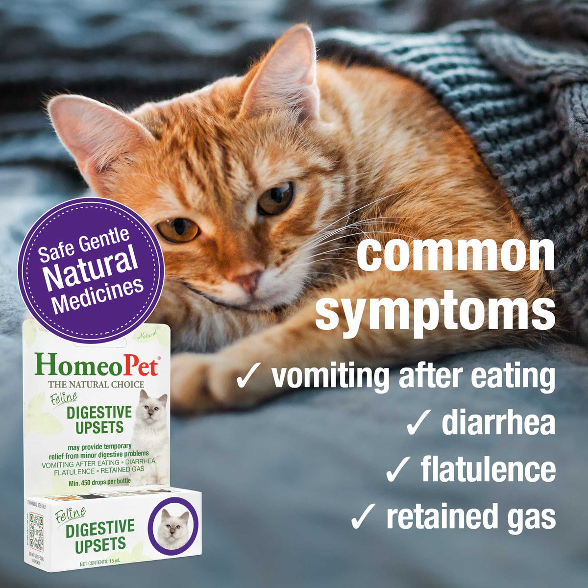 HomeoPet Feline Digestive Upsets | Natural Digestive Support for Cats
