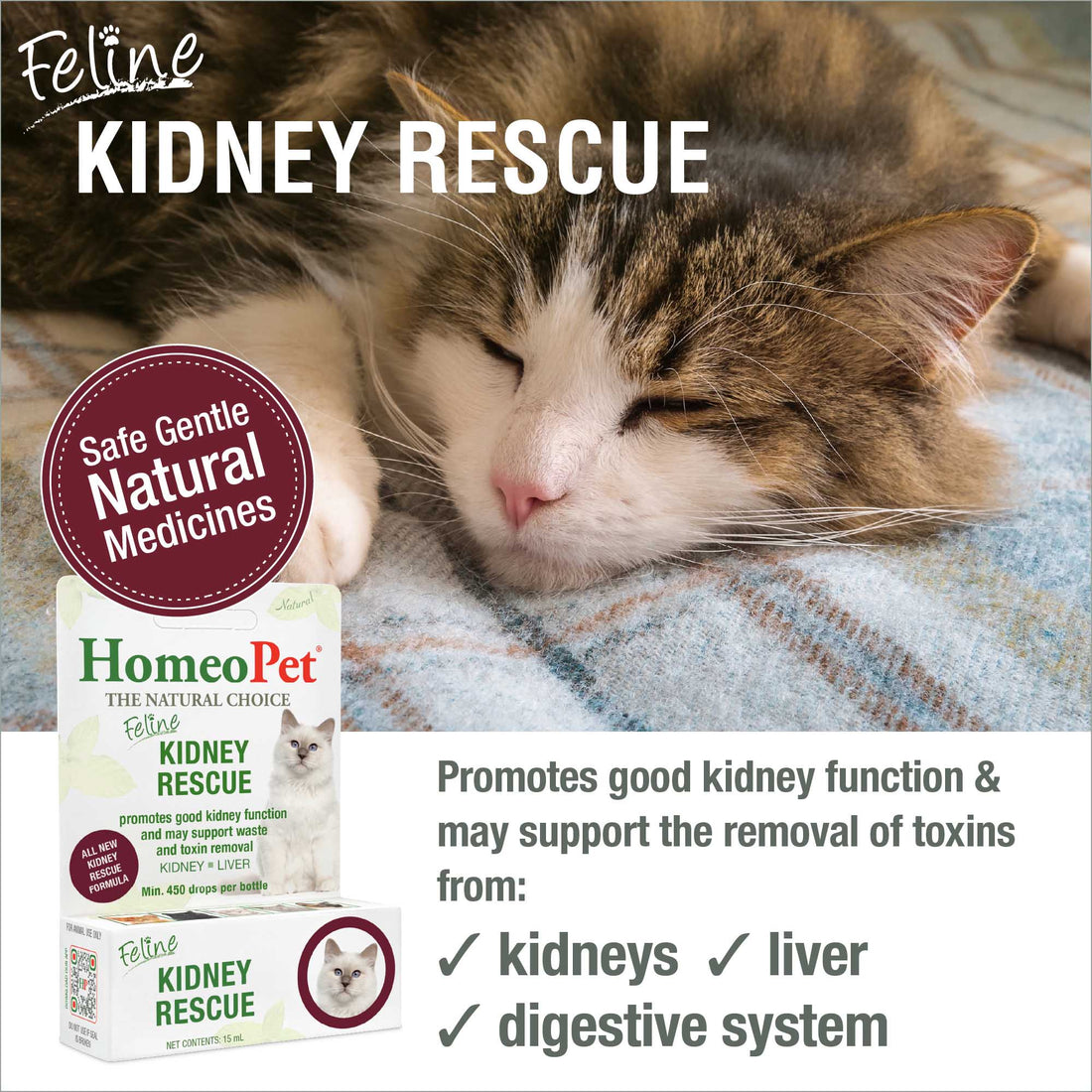 FELINE KIDNEY RESCUE – HomeoPet
