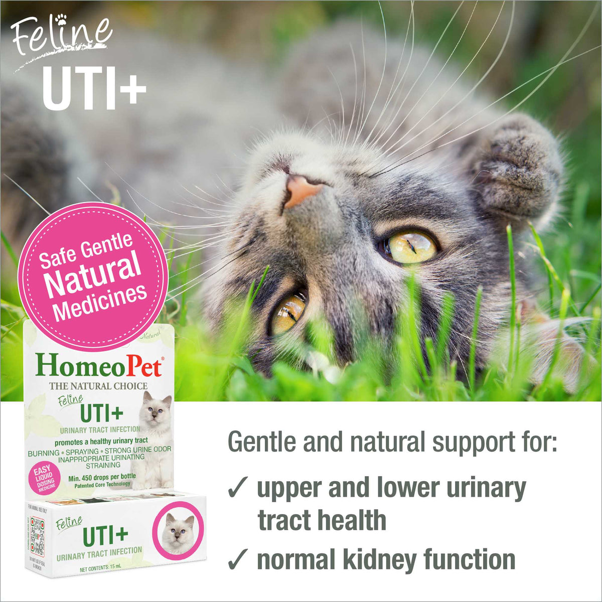 FELINE UTI+ – HomeoPet