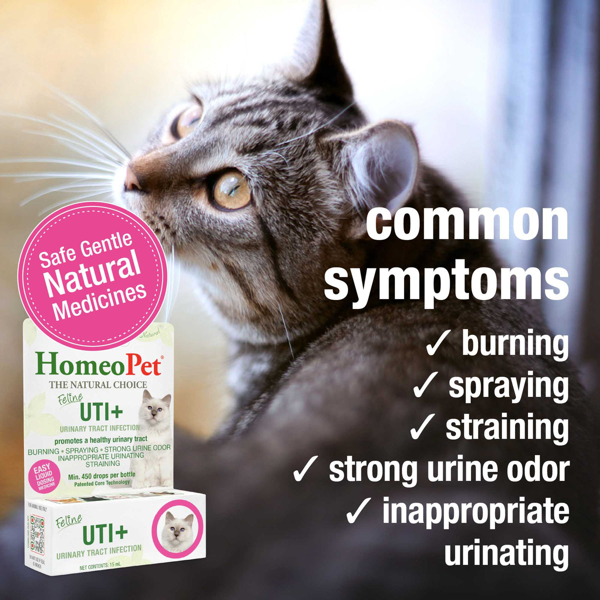 FELINE UTI+ – HomeoPet