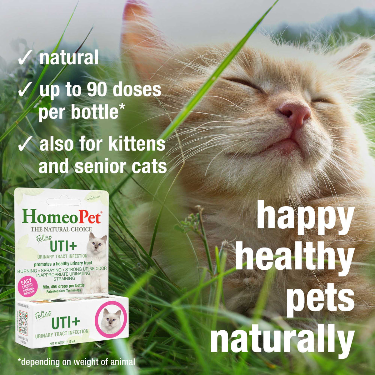 FELINE UTI+ – HomeoPet