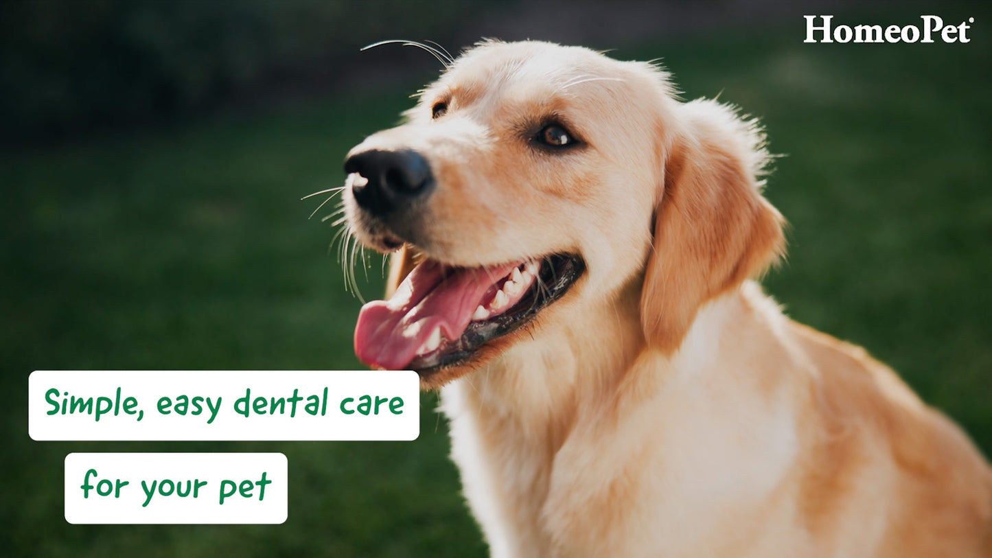 HomeoPet Dental Range