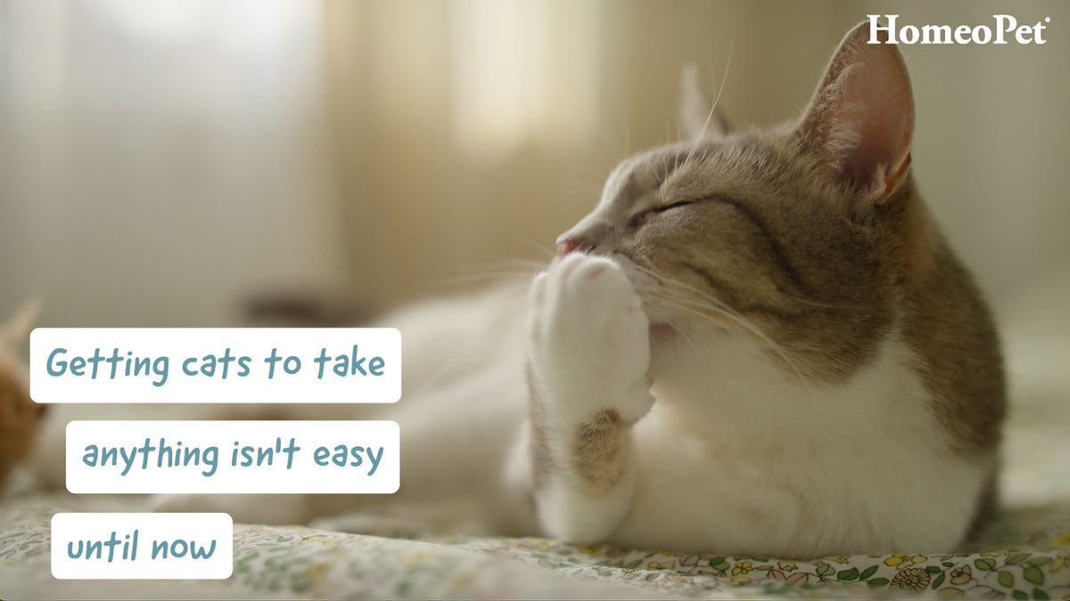 HomeoPet Feline Range