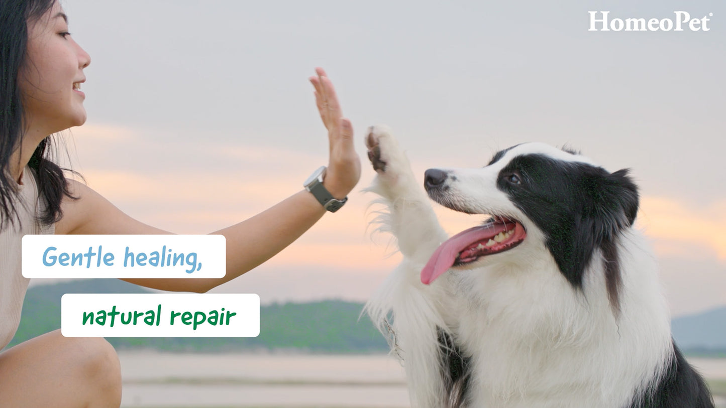 HomeoPet Recovery & Healing Range