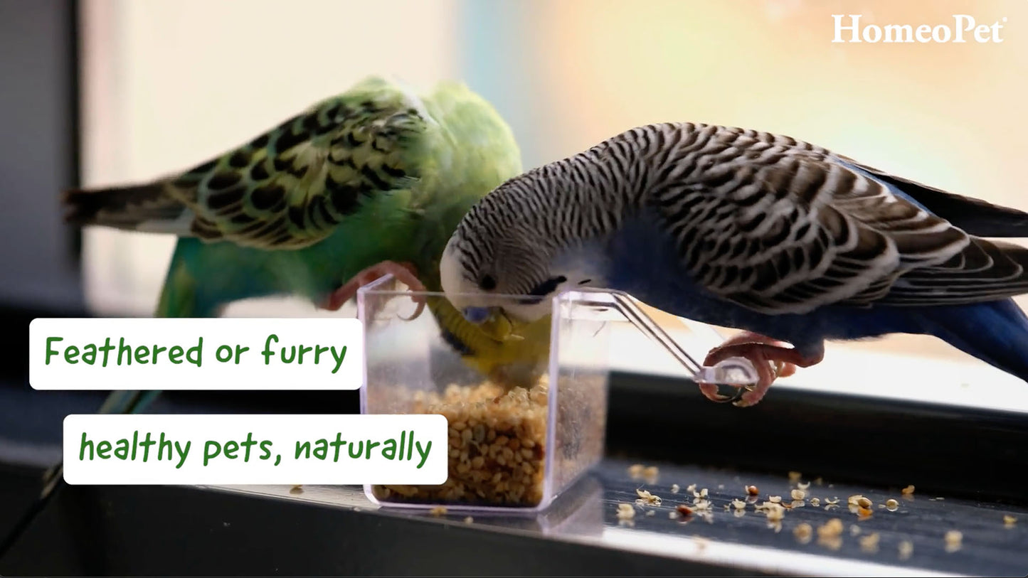HomeoPet Anxiety & Stress Range