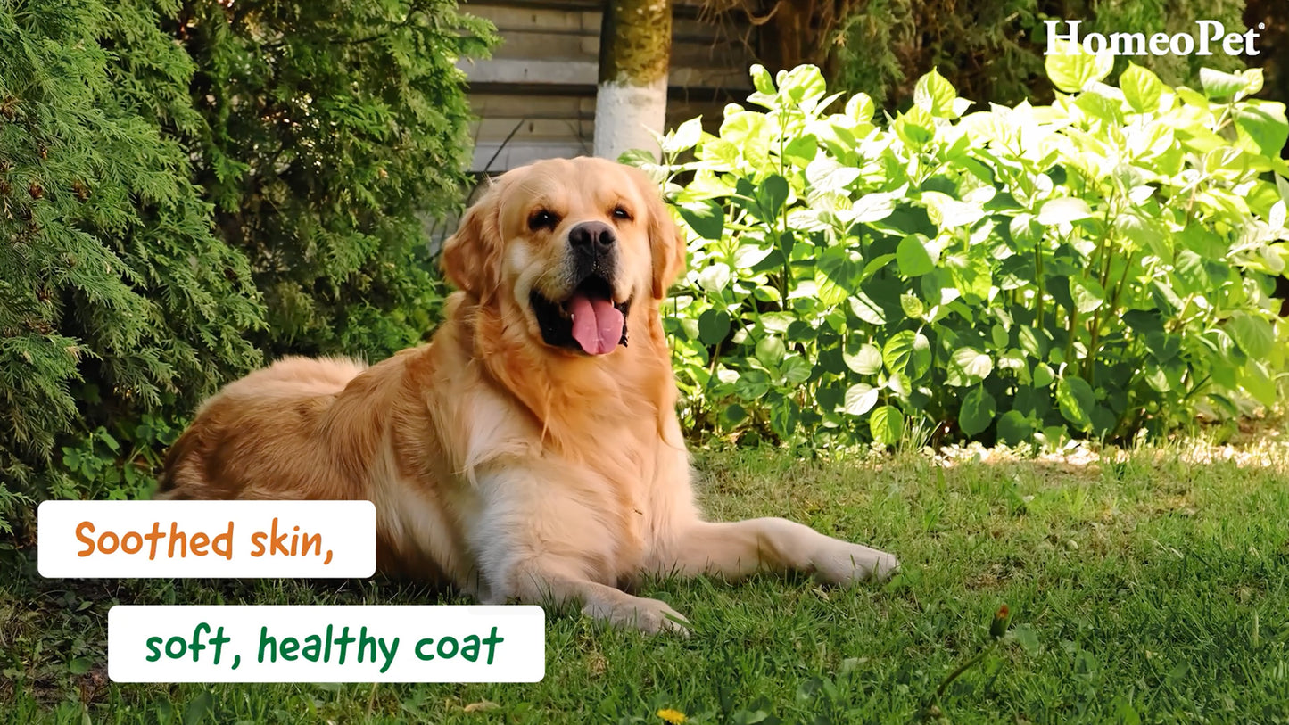 HomeoPet Skin & Coat Allergies Range