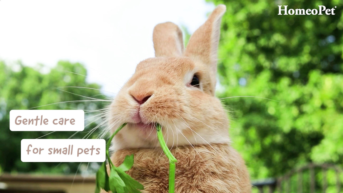 HomeoPet Small Animal Range