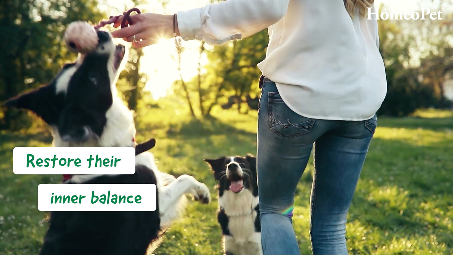 HomeoPet Worming Range