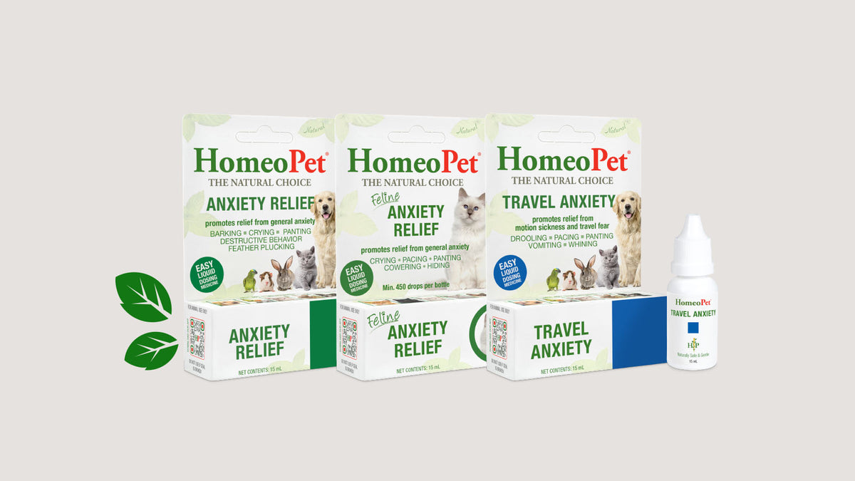 FELINE UTI+ – HomeoPet