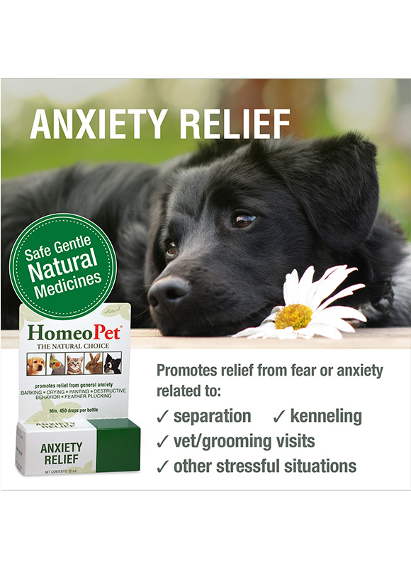 https://www.homeopet.com/wp-content/uploads/2018/05/HP_US_Anxiety_Relief_02-1.jpg
