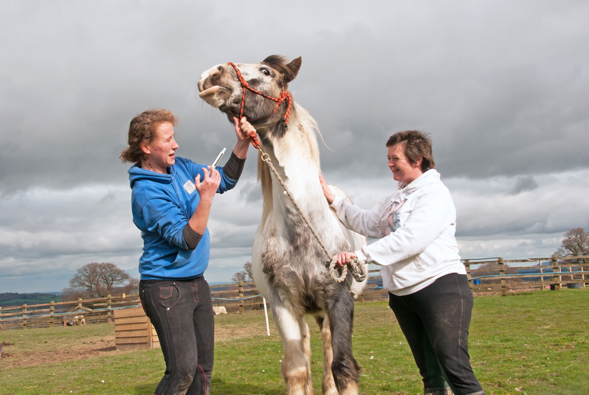 can horse poop give dogs worms